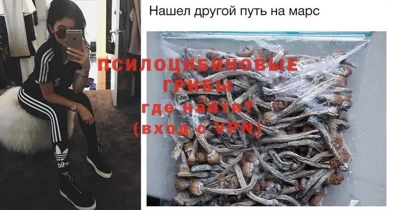 Галлюциногенные грибы Psilocybe  Бикин 